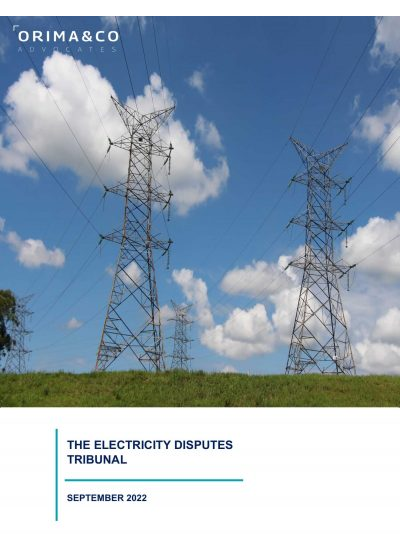 The Electricity Disputes Tribunal